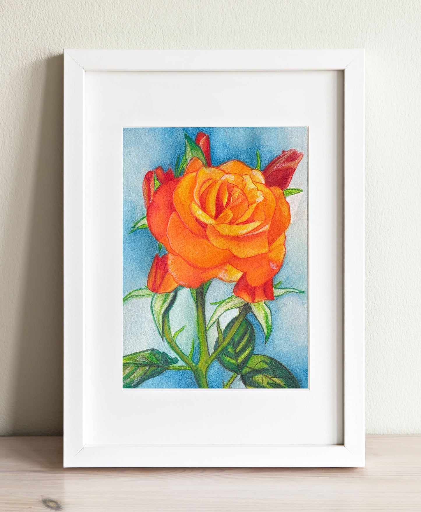Orange Rose Study