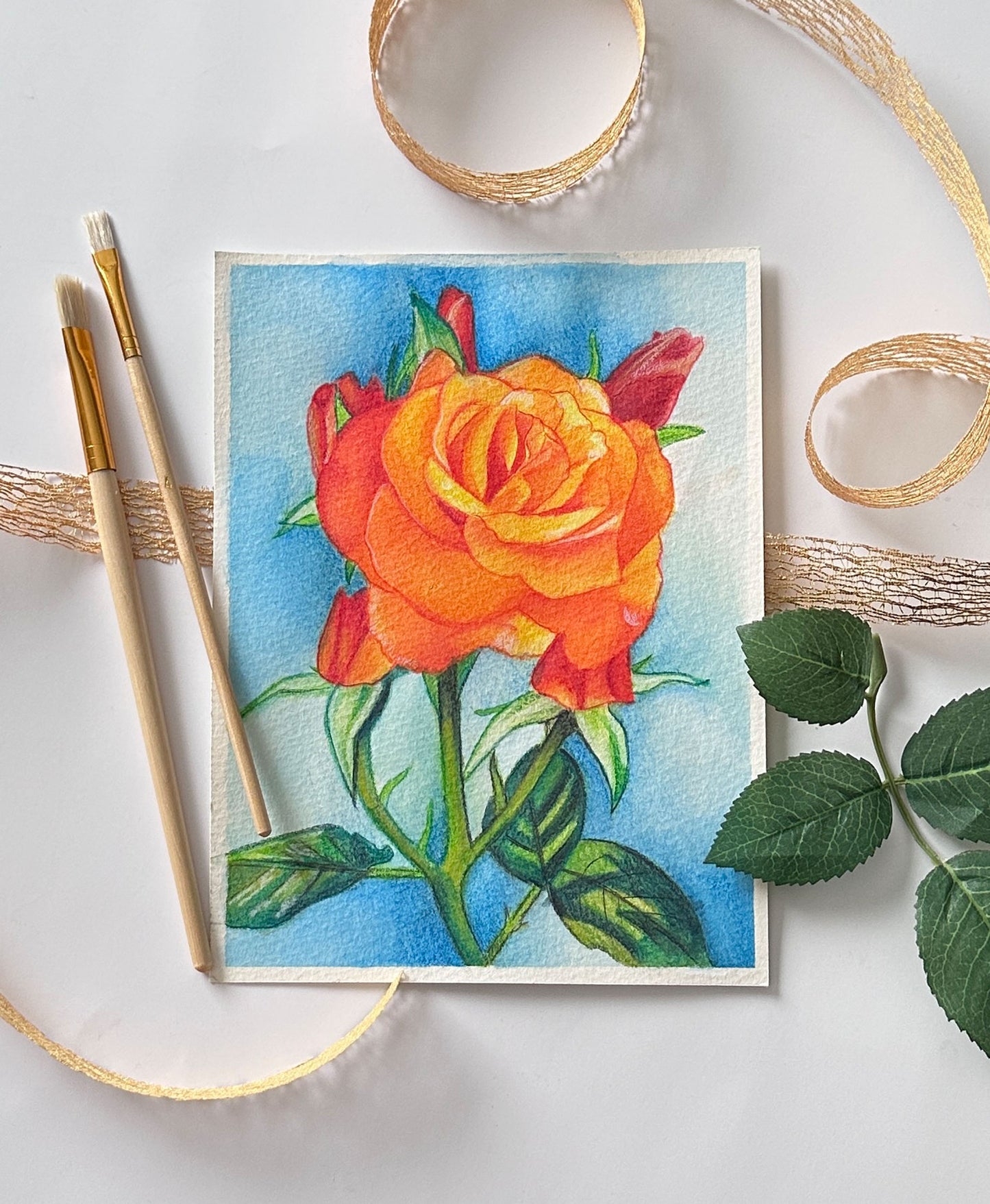 Orange Rose Study
